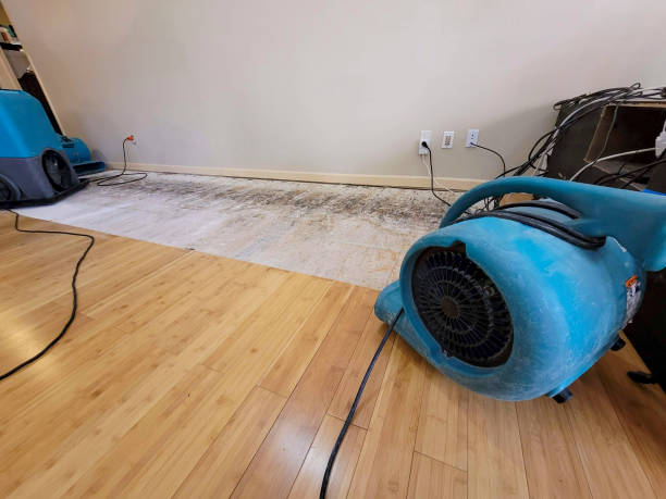 Professional Burst Pipe Water Damage technician working in Trufant, MI