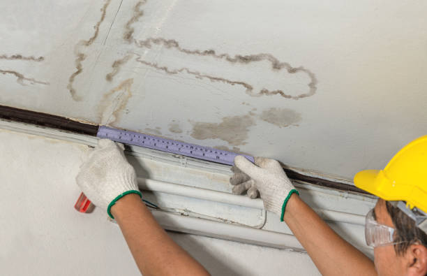 Affordable Burst Pipe Water Damage solutions in Trufant, MI